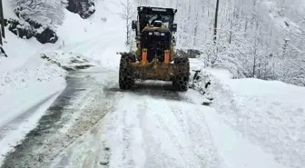 Giresun'da Kar Yağışı 432 Köy Yolunu Kapattı