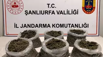 Şanlıurfa'da Eş Zamanlı Uyuşturucu Operasyonu: 16 Gözaltı