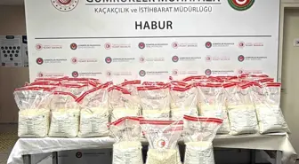 Habur Gümrük Kapısı'nda 631 Milyon TL Değerinde Uyuşturucu Ele Geçirildi