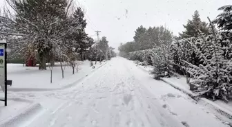 Niğde'nin Bor ilçesinde kar etili oluyor