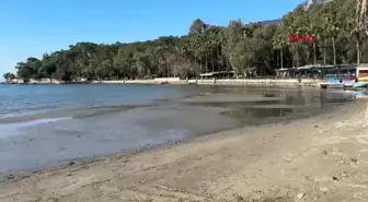 Akyaka'da Deniz Suyu 30 Metre Çekildi, Deprem Korkusu Yersiz