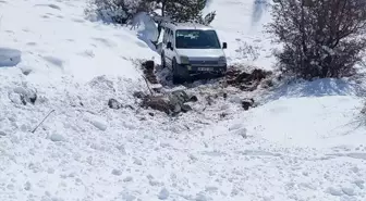 Giresun'da Hafif Ticari Araç Şarampole Devrildi: 2 Yaralı