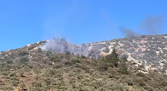 Muğla'nın Milas İlçesinde Makilik Alanda Yangın Çıktı