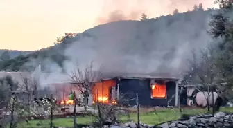 Bodrum'da Yangın: 1 Yaralı