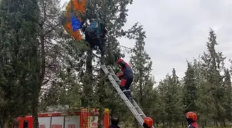 Yamaç Paraşütü Pilotunu Ağaçtan İtfaiye Kurtardı