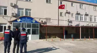 Aydın'da Aranan Şahıs Yayla Evinde Yakalandı