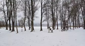 Bolu Yeniçağa'da Kar Yağışı ve Muhtarlar Derneği Seçimi