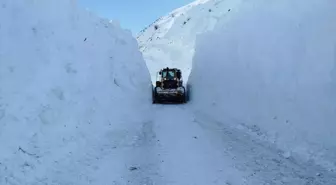 Yüksekova'da İkinci Çığ Temizlendi