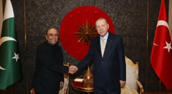 Cumhurbaşkanı Erdoğan, Pakistan Cumhurbaşkanı Zardari ile görüştü