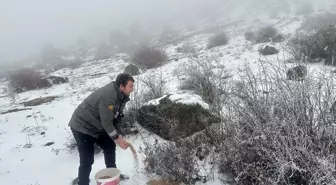 Giresun'da Yaban Hayvanları İçin Doğaya Yem Bırakıldı