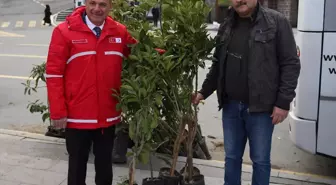 Rize'de Kan Bağışına 5 Meyve Fidanı Hediye Ediliyor