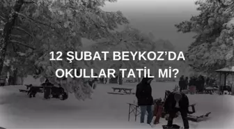 Beykoz okullar tatil mi son dakika? 12 Şubat Çarşamba Beykoz'da okul yok mu?(Valilik açıklaması)