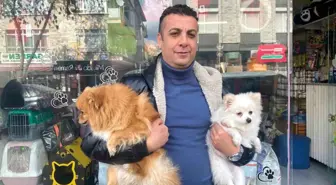 Çalınan köpek İhlas Haber Ajansı'nın haberinden sonra bulundu