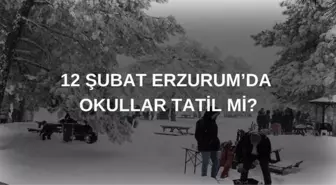 Erzurum'da okullar tatil mi? SON DAKİKA 12 Şubat Çarşamba Erzurum'da okul yok mu?