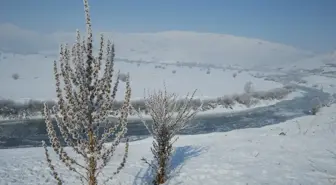 Van ve Hakkari'de Dondurucu Soğuklar Etkili