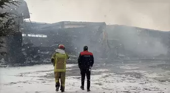 Afyonkarahisar'daki Orman Ürünleri Fabrikasında Yangın Kontrol Altına Alındı