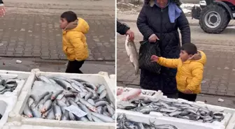 Balık alamadıkları için ağlayan çocuk! Neyse ki sonu güzel bitti