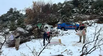 Kilis Jandarması Yaban Hayvanlarına Yem Bıraktı