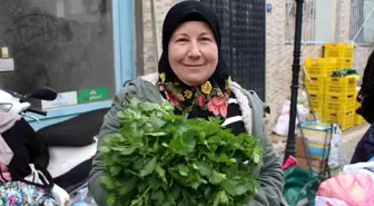 Ege'nin Doğal Lezzeti Isırgan Otu Pazarlarda Yok Satıyor