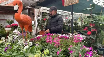 Ağabeyinin Hatırasını Yaşatmak için Botanik Kafe Açtı