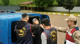 Ordu'da Jandarma Operasyonu: 4 Hükümlü Yakalandı