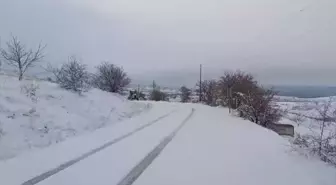 Baskil'de kar yağışı etkili oldu