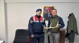 Eskişehir'de Geyik Boynuzu Satışı Yapan Şüpheli Yakalandı