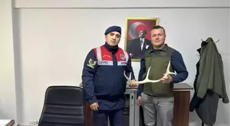 Eskişehir'de Sosyal Medyada Geyik Boynuzu Satan Şüpheli Yakalandı