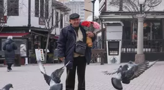 Hamamönü'nde 'Gül Baba' Gönüllü Çiçek Dağıtıyor