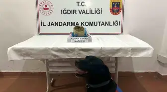 Iğdır'da Kaçakçılık Operasyonunda 1 Kilogram Esrar Ele Geçirildi