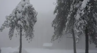 Nebiyan Dağı Karla Kaplandı, Doğa Severlerin Gözdesi Oldu