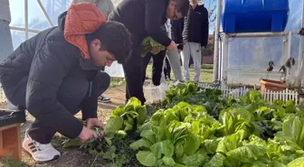 Hayrabolu Lisesi Öğrencileri Tarımsal Üretim Yapıyor