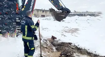 Kayseri'de Bataklığa Saplanan Yılkı Atı İtfaiye Ekiplerince Kurtarıldı