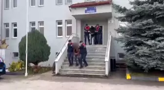 Sakarya'da Hayvan Hırsızlığı Operasyonunda 11 Tutuklama