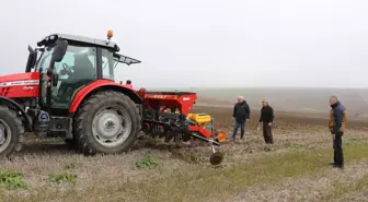 Edirne'de Ayçiçeği Ekim Yöntemleri Üzerine Testler Başladı