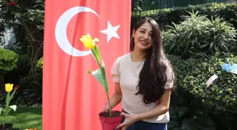 Meksika'da İlk Lale Festivali Düzenlendi