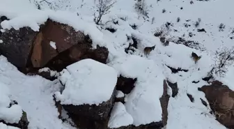 Adıyaman'da Yaban Keçileri Dronla Görüntülendi