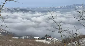 Düzce'de Kış Manzaraları: Kar ve Sis Büyüledi