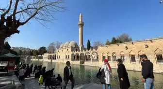 Şanlıurfa'da Güneşli Havada Balıklıgöl Ziyareti