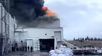 Edirne'de Alüminyum Fabrikasında Yangın