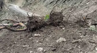 Sinop'ta Kuvvetli Yağışlar Toprak Kaymasına Neden Oldu