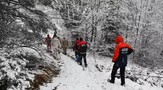 Bilecik'te Kaybolan Kadının Bulunması İçin Arama Çalışmaları Sürüyor