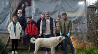 Ayvalık'ta Gönüllüler Sokak Hayvanları İçin Besleme Projesi Başlattı