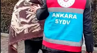 Kış Aylarında Evsizler için Sıcak Yuva Sağlanıyor