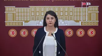 Dilan Kunt Ayan: Şanlıurfa Ekonomik Potansiyelini Kullanamıyor