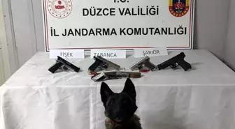 Düzce'de Jandarma Operasyonu: Ruhsatsız Silahlar Ele Geçirildi