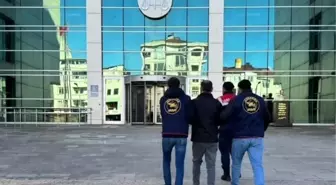 Ordu'da Jandarma Operasyonları: 49 Şüpheli Yakalandı