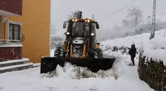 Trabzon'da 5 Düzensiz Göçmen Yakalandı