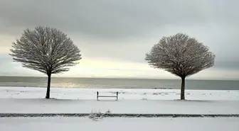 Doğu Anadolu'da Kar Yağışı Etkili, Yüzlerce Yol Ulaşıma Kapandı