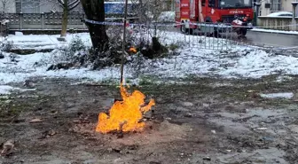 Kar yağışı dahi söndürmeye yetmedi! Günlerdir alev alev yanıyor